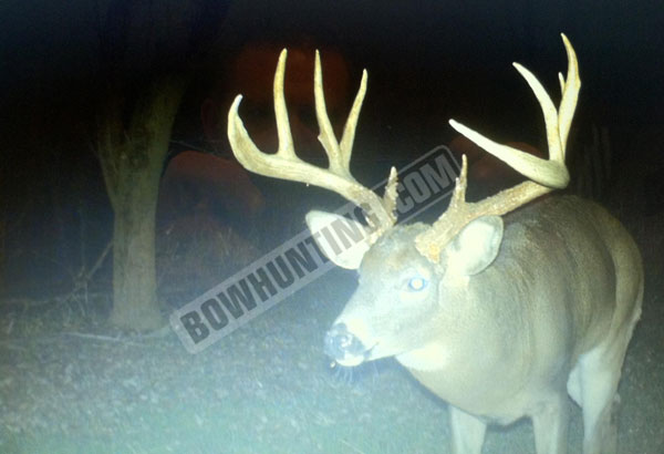 Brady Scheffler buck trail cam photo