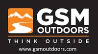 GSM Logo