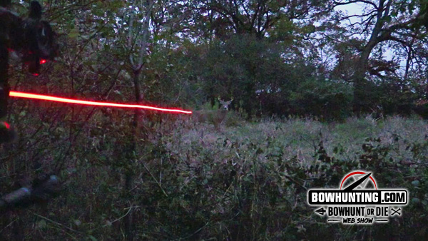 Lighted nock in flight