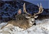 Pat's 200" Alberta Monster with the new Mathews Creed