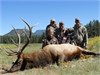 Nicole's New Mexico Elk Hunt