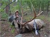 MaKenna New Mexico Muzzleloader Elk