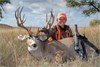 CO Mule Deer Hunting with Atkinson Expeditions