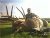 Mark Luster ~ Illinois Archery Whitetail