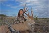 MaKenna McFerrin ~ Muzzleloader Whitetail