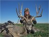 Bonnie McFerrin ~ Alberta Archery Mule Deer