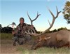 Pat's Elk Hunt