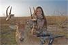 MaKenna McFerrin ~ Texas Muzzleloader