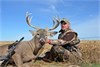 Dave Bogart ~ Colorado Muzzleloader Whitetail