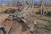 Mike McFerrin ~ Kansas Archery Whitetail